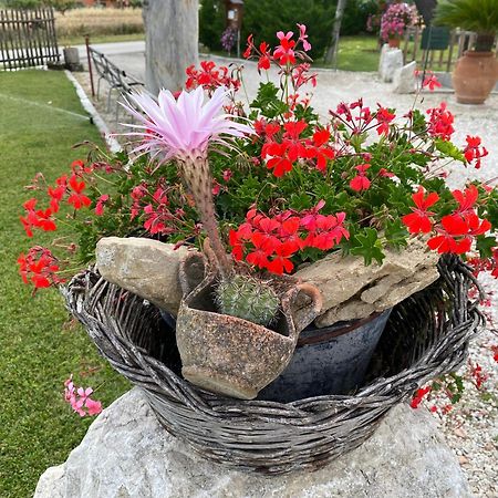 Appartamento Campagna D'aMare Atessa Esterno foto