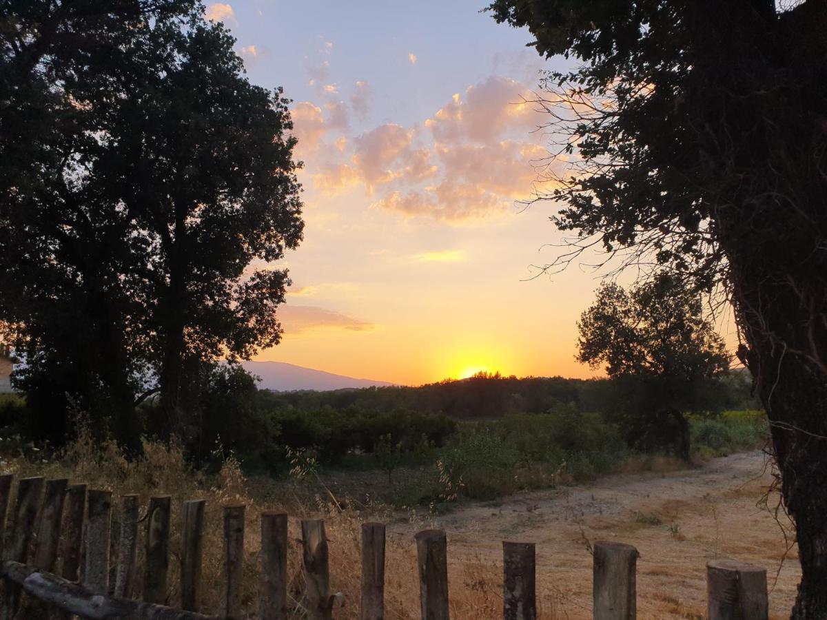 Appartamento Campagna D'aMare Atessa Esterno foto