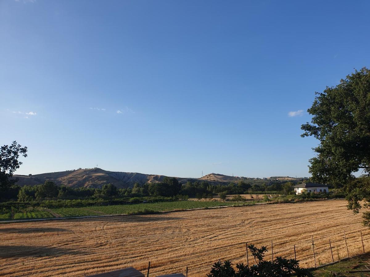 Appartamento Campagna D'aMare Atessa Esterno foto