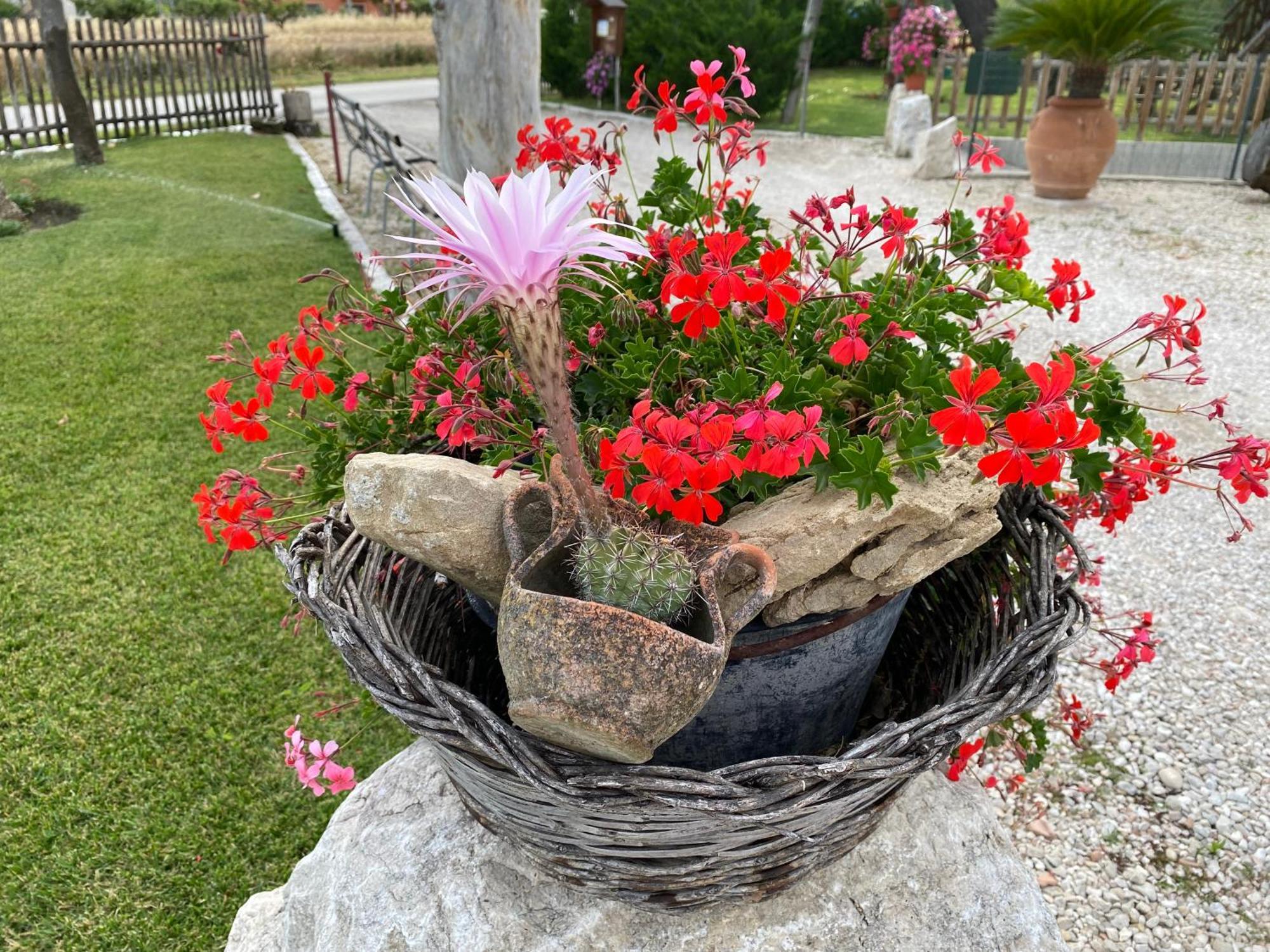 Appartamento Campagna D'aMare Atessa Esterno foto